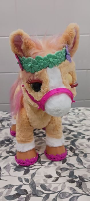 Poney ELegante novo