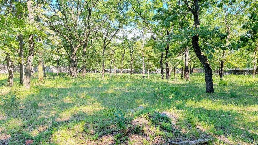 Продаж ділянки, 200 соток, с. Романків, Обухівський р-н