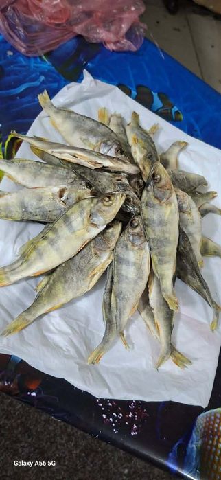 Рыба вялена,сушена  асортимент!!