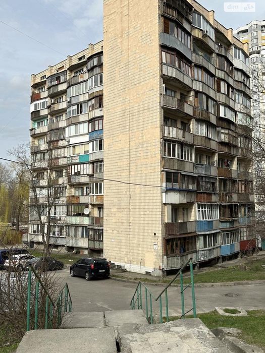 Дзюби 6-А (С. Сосніних)