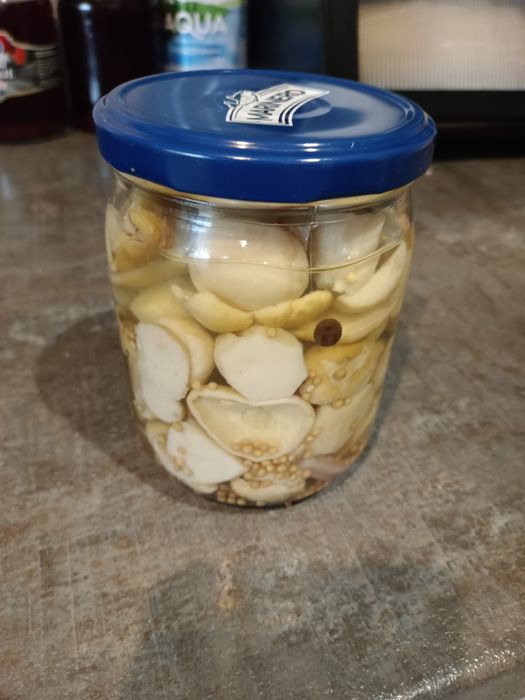 Sprzedam grzyby borowiki marnowane  tegoroczne