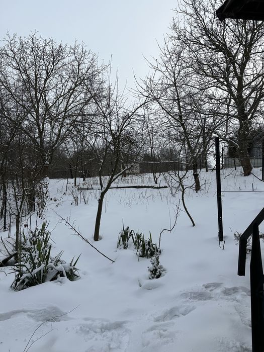 Продається 2-кім дачний будинок зі зрубу зі ставком, Заставнянська