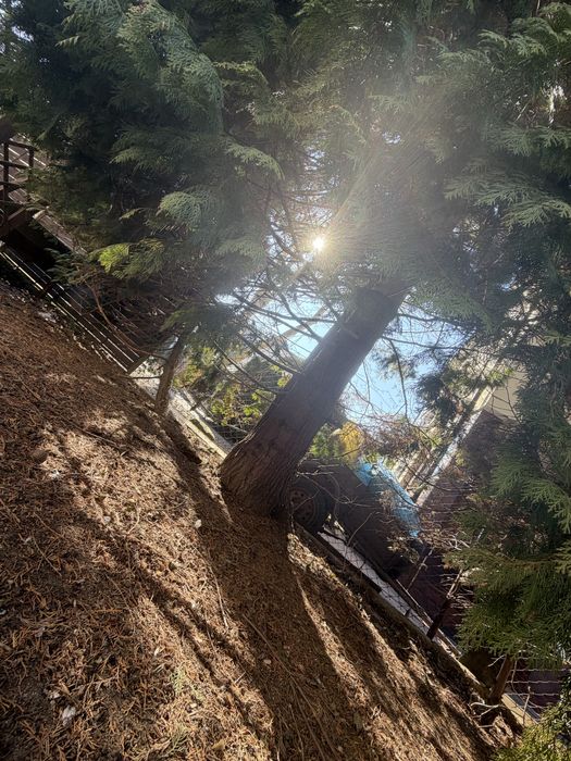 Oddam na opał bardzo duże