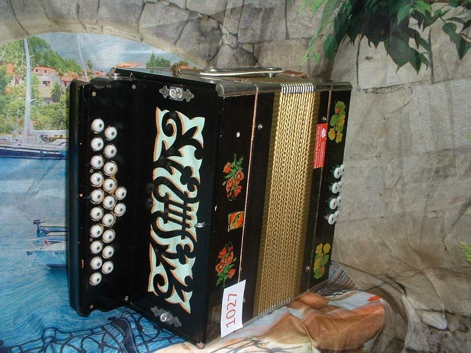 Promoção de Acordeões de concertinas