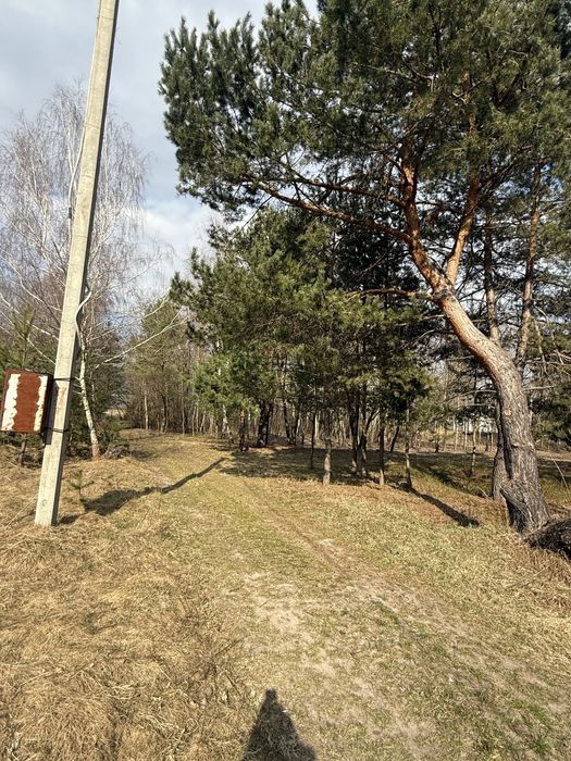 Продаж земельних ділянок с.Бірки