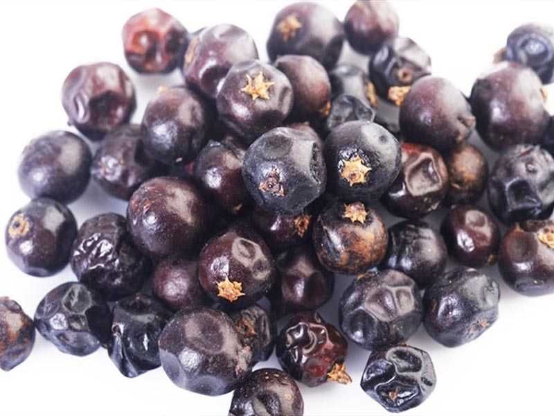 Jałowiec całe owoce suszone 5 kg owoc jałowca