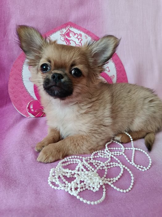 Любов з першого погляду!!!