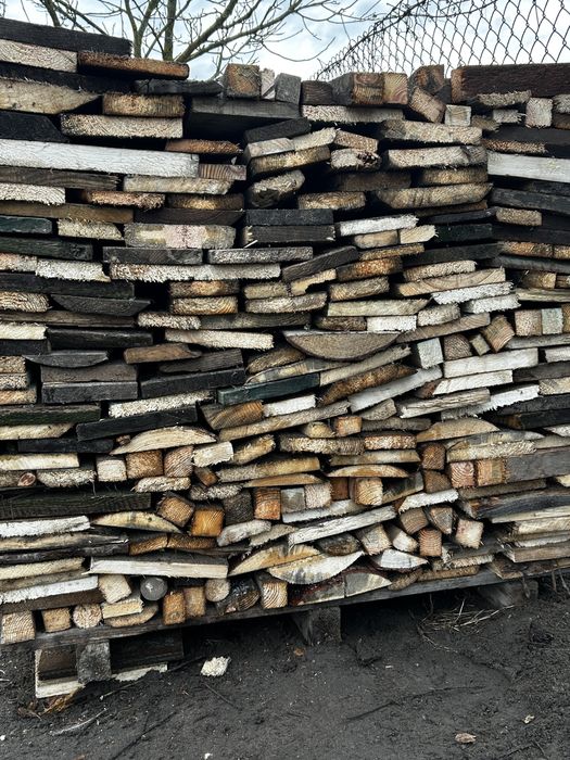 Suche drzewo opalowe