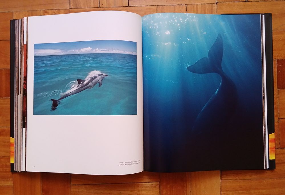 Livro A VIDA - Frans Lanting