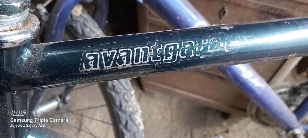 Rower Męski Camelion Avantgarde