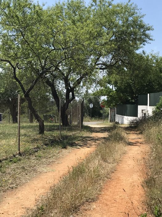 Terreno Rustico - Pedrogao - Serra de Aire e candeeiros