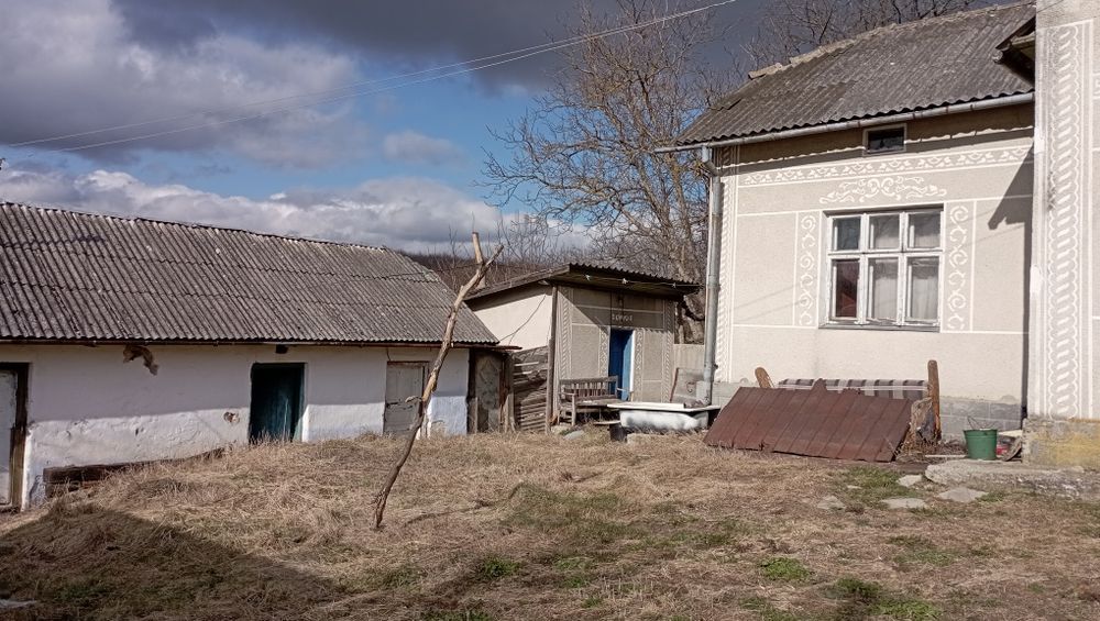 Будинок біля лісу