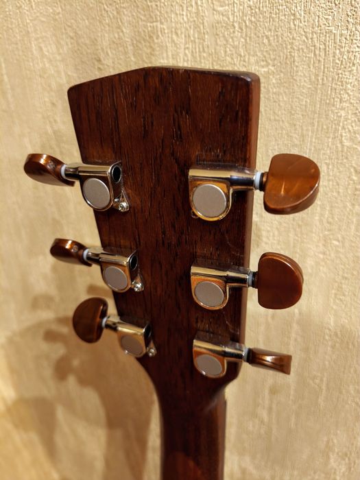 Трансакустична гітара.