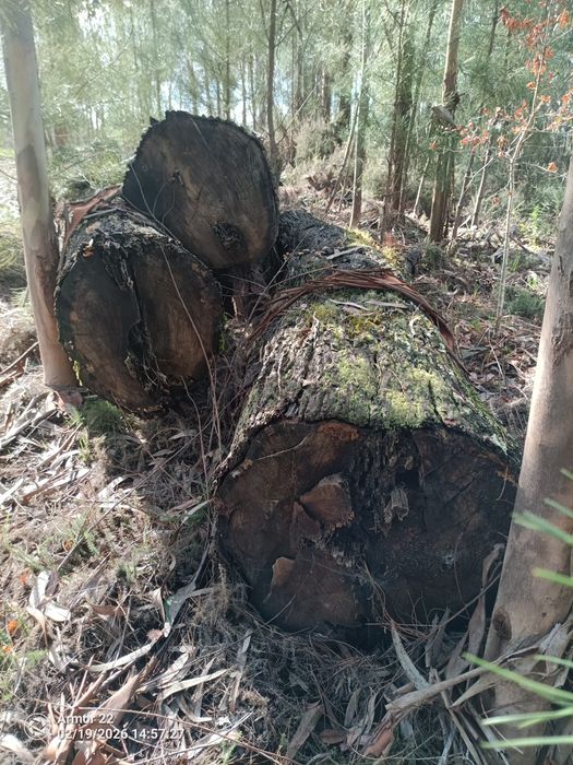 Rolos de Madeira em Castanho