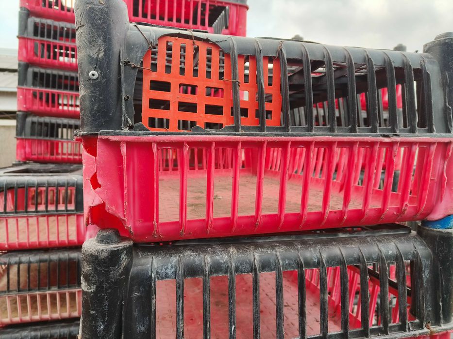 Klatki dla ptaków drobiu skrzynki pojemniki kury kaczki brojlery katex