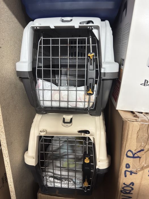 Transportadora
