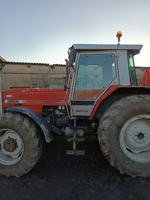 Massey Ferguson 3655