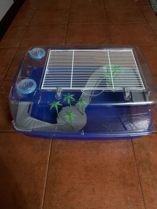 Aquário para tartarugas