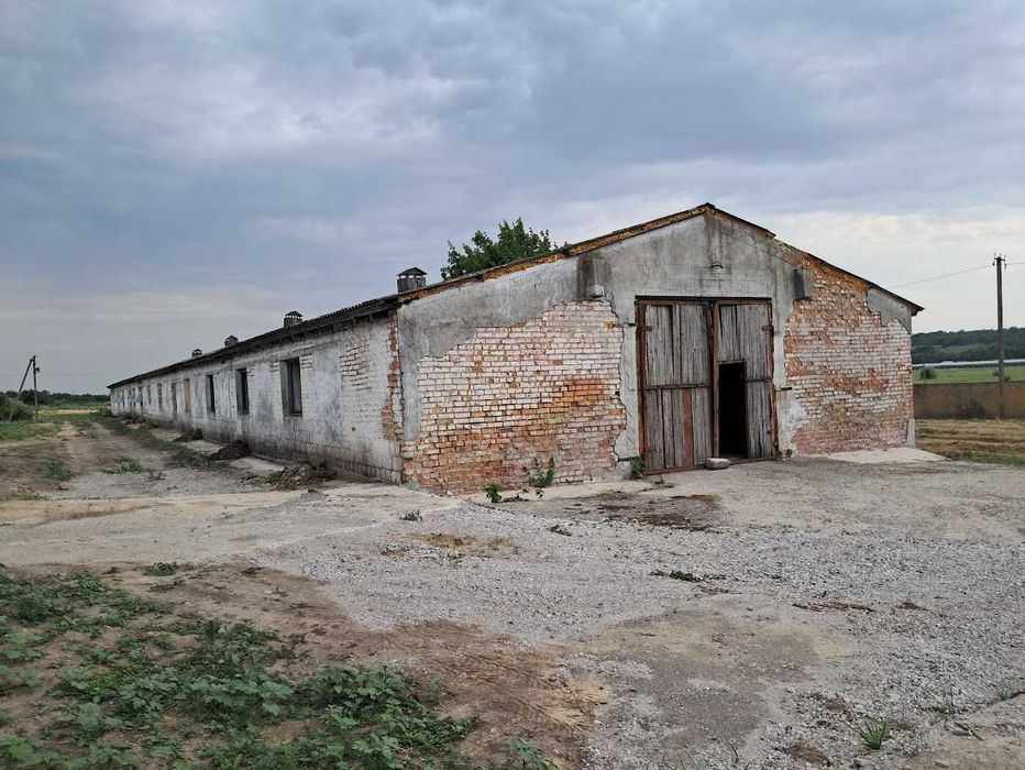 Комплекс птицефабрики/Солнечные батареи/Зернохранилище