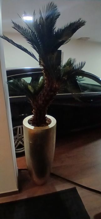 Vaso decorativo com planta artificial