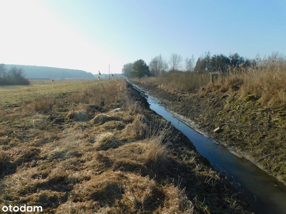 Syndyk sprzeda - Mogielnica, dz. nr 1658 i 1747 - Widok 4