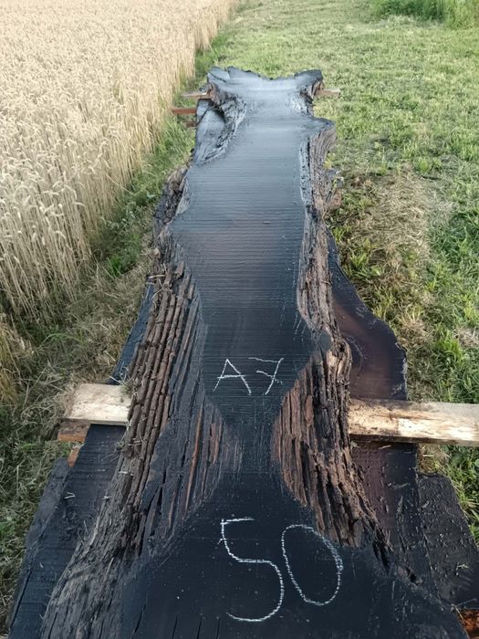 Deska dąb czarny
