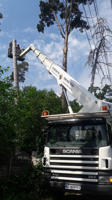 Видалення аварійних дерев. Є послуги автовишки..Є послуги ЩЕПОРІЗА