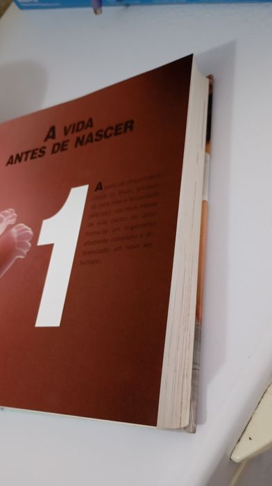 Livro Gravidez e primeiros anos