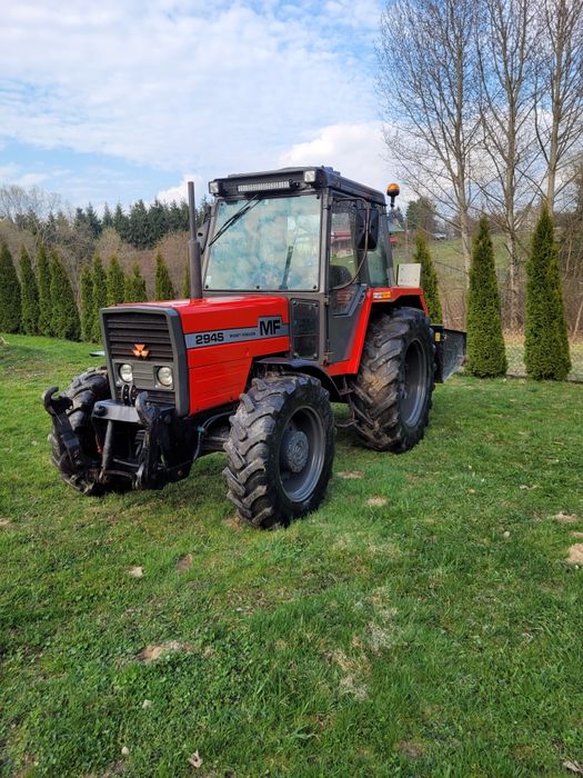 Massey Ferguson 294s