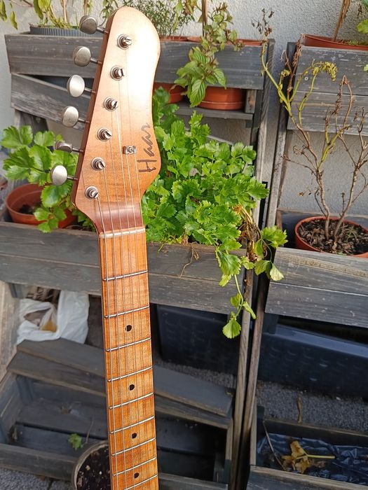 Haar Trad S Stratocaster 2021