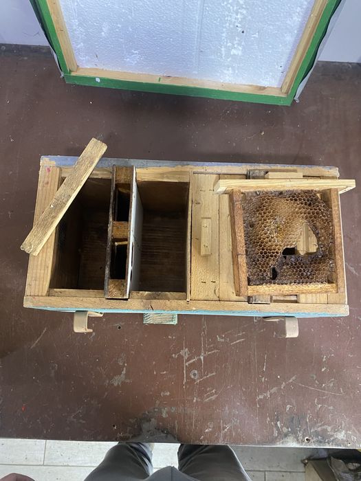 Нуклеус, Матки, Нуки