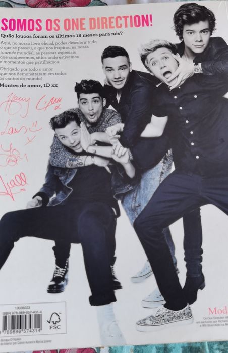 One Direction em português