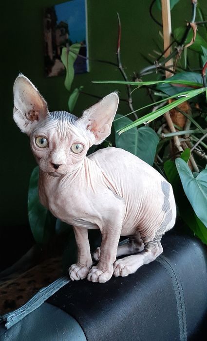 Хлопчик та дівчинка