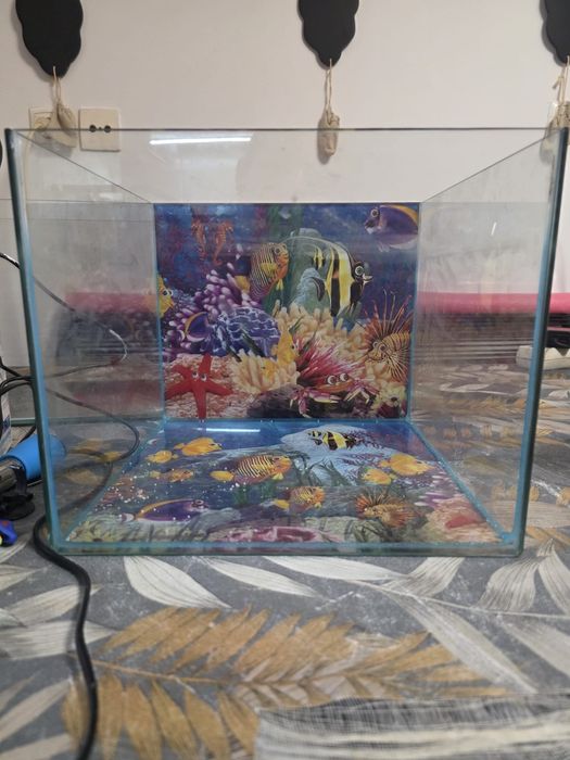 2 aquarios 2 leds e 2 filtros