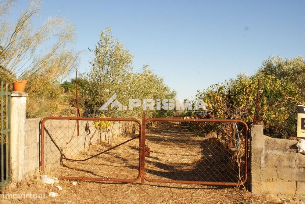 Terreno Urbano | 1.140 M2 | Castelo Branco