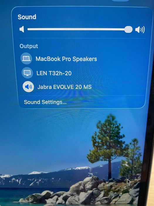 Jabra Evolve 20 MS