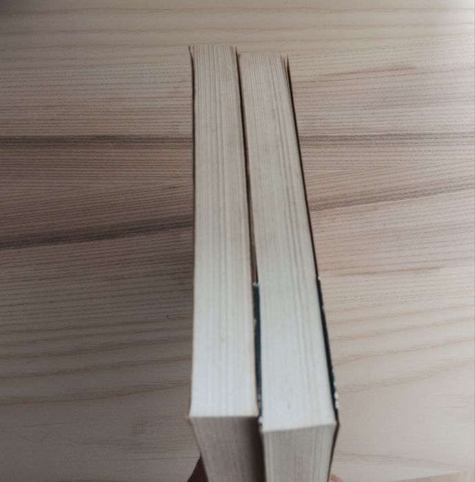 José Gomes Ferreira, Poeta Militante (2 volumes)