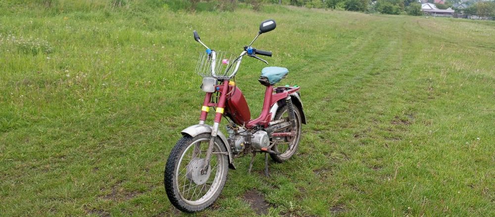 Малагутик Італія