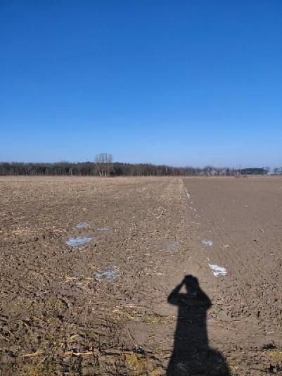 Sprzedam ziemie rolną