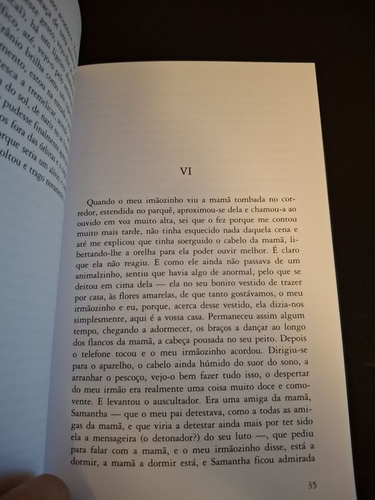 Livro Os Homens em Geral Agradam-me Muito — Véronique Ovaldé. Pouco ou nada manuseado.