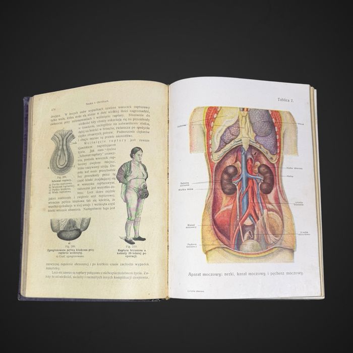 Antyk Lekarka Domowa Dr med. Janina Springer  przedwojenna encyklopedia B61/042501