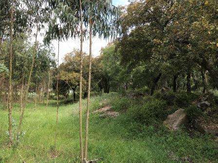 Vendo Terreno com 1.5 hectares