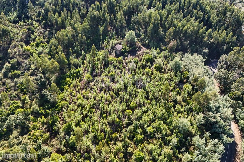 Terreno em Folques, Arganil