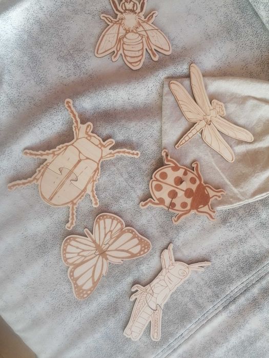 Drewniane puzzle owady