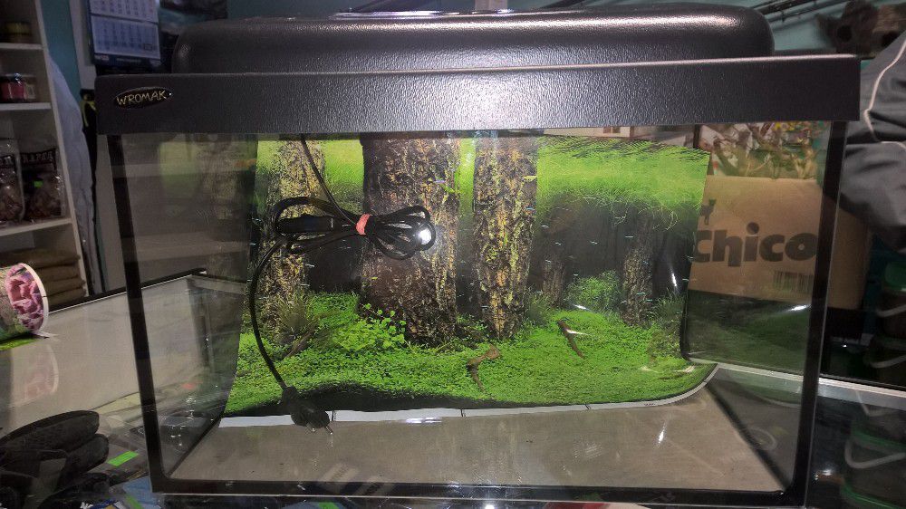 Nowe akwarium z pokrywą i oświetleniem / Gratis tło!!!