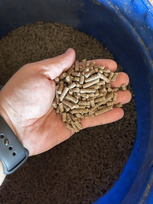 Ração para cavalos