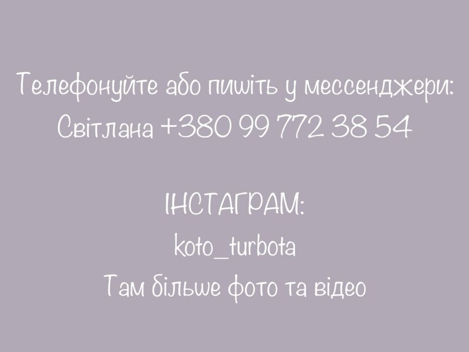 Котик шукає дім. Імʼя Кузя