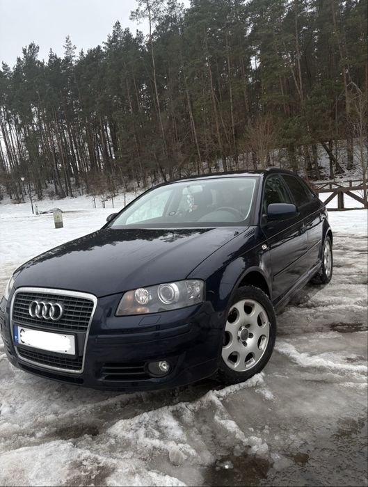 Audi a3 8p zewnetrzny s line