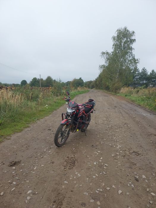 Продам мустанг регіон мт250