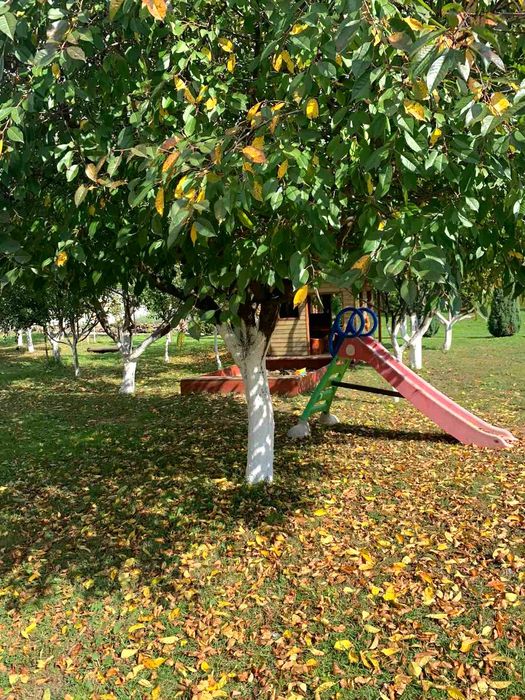 ПРОДАЖ ЕКО-КОМПЛЕКСА Piknik Park з МЕГА локацією / обмін на квартиру